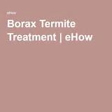 Borax Termite Treatment Photos