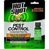 Images of Home Depot Pest Control