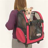 Travel Carrier Dog Pictures