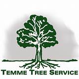 Images of Montgomery Tree Service