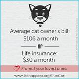 Average Life Insurance Death Benefit Pictures