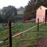Paddock Fencing For Horses Photos