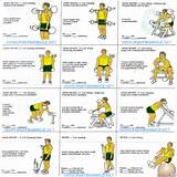 Pictures of Good Muscle Exercises Home