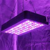 Pictures of Best Led Grow Lights On The Market