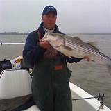 Striper Fishing Guides Lake Texoma Images