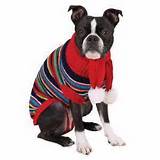 Photos of Dog Clothes Uk Ebay