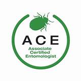 Pictures of Active Pest Control