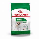 Royal Canin Mini Special