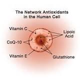 Human Cell Repair