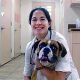 Photos of Vca Animal Hospital Henderson