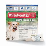 Cheap Flea Treatment For Dogs Free Delivery Photos