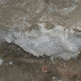 Pictures of Car Carpet Mold Baking Soda