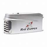 Electric Rat Trap Home Depot Images