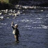 Pictures of Middle Fork Salmon River Fishing