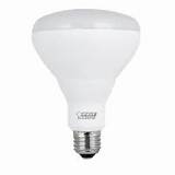 Outdoor Led Flood Light Bulbs Home Depot Pictures