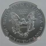 American Eagle Silver Dollar 2013
