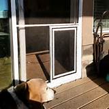 Sliding Screen Door With Dog Door Built In