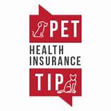 Pet Health Insurance Companies