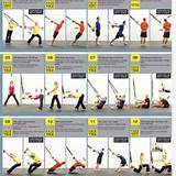 Trx Training Exercises Images