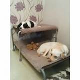 Pictures of Beds For Dogs On Sale