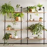 Images of Plants On Wall Shelves