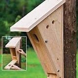 How To Build A House Finch Birdhouse Pictures