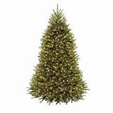 National Tree Company 12 Ft Pre Lit Dunhill Fir Images