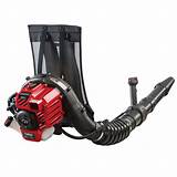 Gas Powered Backpack Leaf Blower Reviews Images