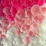 Pink Paper Flower Backdrop