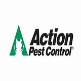 Ehrlich Pest Control Erie Pa Images