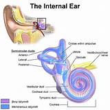 Pictures of Ear Balance Problem
