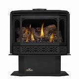 Direct Vent Gas Log Stoves