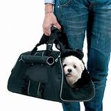 Pet Travel Carriers Small Dogs Photos