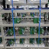 Rent Bitcoin Mining Server Pictures