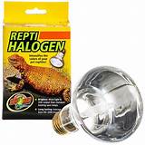 Halogen Heat Lamp Pictures