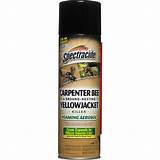 Spectracide Carpenter Bee & Ground Nesting Yellowjacket Killer Foaming Aerosol Pictures
