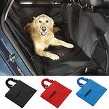 Dog Carriers For Cars Dog Seats Photos