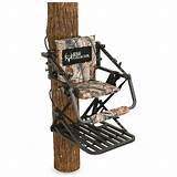 Photos of Discount Climbing Tree Stands