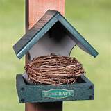 Pictures of Bird Nesting Shelf