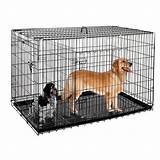 Pictures of Tractor Supply Dog Crates