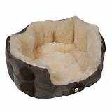 Photos of Kong Dog Beds For Sale