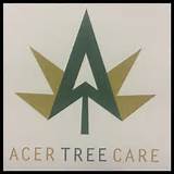 Acer Tree Services Pictures