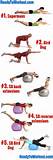 Photos of Back Workouts Home