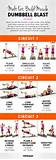 Circuit Workout Exercises Photos