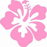 Hawaiian Decal Stickers Pictures