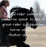 Pictures of Horse Quotes