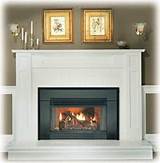 Pictures of Fireplace Inserts On Ebay