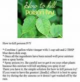Images of Home Remedies For Poison Oak Bleach
