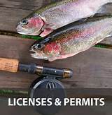 Pictures of Licenses And Permits