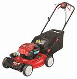 Pictures of Best Gas Mower